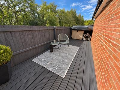 Picture 41
